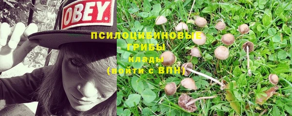 гашишное масло Аркадак