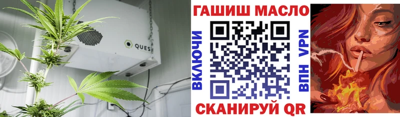ТГК THC oil  Буйнакск 