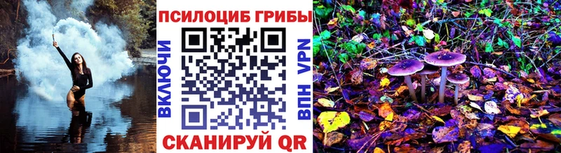 маркетплейс как зайти  MEGA ONION  Буйнакск  Галлюциногенные грибы Cubensis 